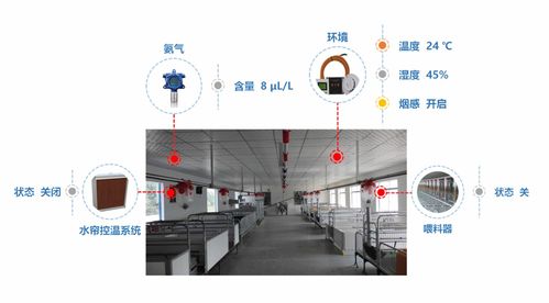 山東養豬場轉型升級 自動化控制與智能化豬舍管理系統的實踐